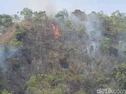 4 Hari Belum Padam, Kebakaran Gunung Karst Pangkep Meluas