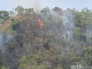 4 Hari Belum Padam, Kebakaran Gunung Karst Pangkep Meluas