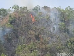 4 Hari Belum Padam, Kebakaran Gunung Karst Pangkep Meluas