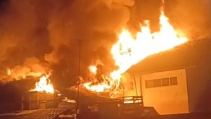 SDN di Megamendung Bogor Terbakar, Api Merambat ke Rumah Warga