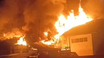SDN di Megamendung Bogor Terbakar, Api Merambat ke Rumah Warga