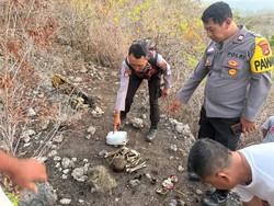 Nenek Berambut Panjang Hilang di Nusa Penida Ditemukan Jadi Kerangka