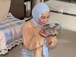 Shanty Denny Coba Puding Lele, Begini Reaksinya pada Suapan Pertama!