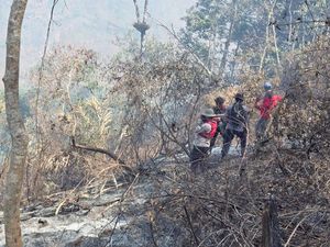 Pendakian Rinjani via Senaru Dibuka Lagi Usai Karhutla, Torean Masih Tutup