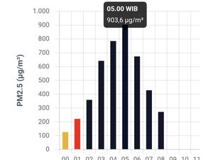 Waspada! Udara di Palembang Kategori Berbahaya