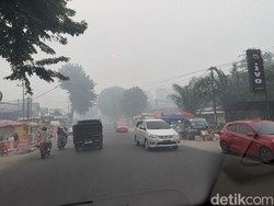 Kabut Asap Pekat Selimuti Jambi, Jarak Pandang 900 Meter