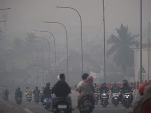 Jeritan Warga Kabut Asap Selimuti Palembang: Sesak Napas dan Mata Perih