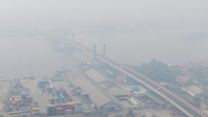 Kabut Asap Selimuti Palembang, Kualitas Udara  Masuk Kategori Berbahaya