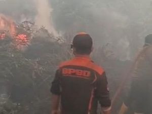 Relawan di Kobar Kelelahan, Kini Total Karhutla Capai 2.681 Hektare