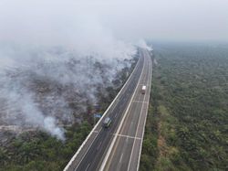 251 Personel Dikerahkan Padamkan Karhutla di Dekat Perkebunan-Tol Terpeka OKI