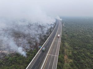 Karhutla Dekat Perkebunan-Tol Terpeka OKI 47 Hektare, Petugas Dikerahkan