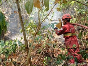 Karhutla Karst Pangkep Capai Zona Inti TN Babul, 26 Hektare Hangus