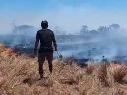 Pulau Kenawa Terbakar Saat Ada Agenda Kunjungan Zita Anjani