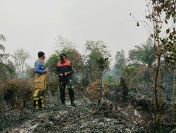Karhutla Terjadi di Talang Jambi Palembang, Lahan Gambut Sulit Dipadamkan