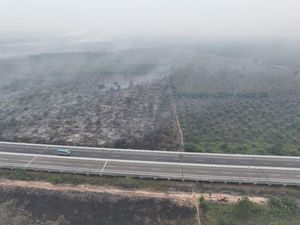 Karhutla Dekat Perkebunan dan Tol Terpeka OKI Meluas hingga 140 Hektare