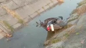 Motor Misterius dan Corbek Ditemukan Nyungsep di Parit Grobogan