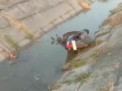 Motor Misterius dan Corbek Ditemukan Nyungsep di Parit Grobogan