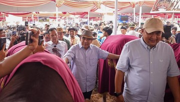 Hadiri Kontes Sapi APPSI, Muzani: Ini Upaya Dukung Swasembada Pangan