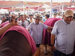 Hadiri Kontes Sapi APPSI, Muzani: Ini Upaya Dukung Swasembada Pangan
