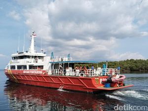 Daftar Identitas 4 Penyelam Hilang di Pulau Panga Batang Sikka, 3 WNA-1 WNI