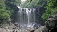 Wisatawan Tewas Terjatuh, Kunjungan Malam ke Air Terjun Pulau Jeju Ditutup