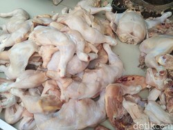 Harga Ayam di Medan Rp 46 Ribu/Kg, Pedagang: Masih Mahal