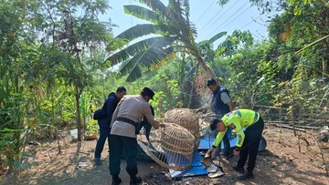 Polisi Ubrak-abrik Arena Judi Sabung Ayam di Bungurasih Sidoarjo