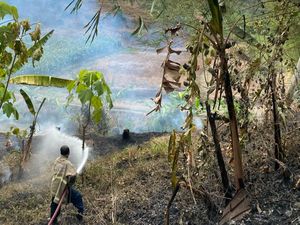 Kakek Semarang Ditemukan Tewas Saat Kebakaran Lahan di Mijen