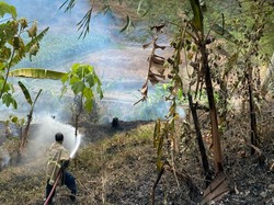 Kakek Semarang Ditemukan Tewas Saat Kebakaran Lahan di Mijen