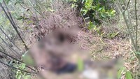 Cekcok HP Digadai Jadi Sebab Remaja di Muara Enim Dibunuh-Motor Digadai