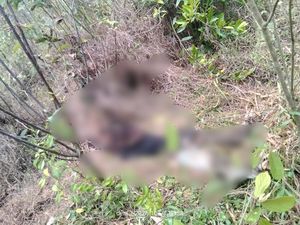 Cekcok HP Digadai Jadi Sebab Remaja di Muara Enim Dibunuh-Motor Digadai
