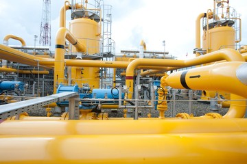 PGN Siap Integrasikan Biomethane ke Infrastruktur Gas