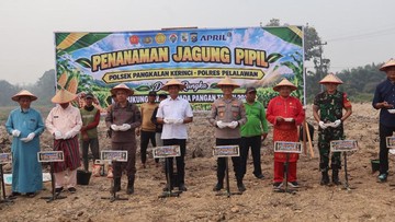 Lahan 3 Hektare di Pelalawan Ditanami Jagung, Polisi Dukung Ketahanan Pangan