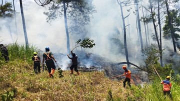 Hutan Lereng Gunung Panderman Terbakar Lagi