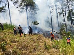 Hutan Lereng Gunung Panderman Terbakar Lagi