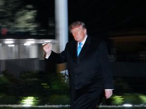Terungkap! Trump Borong Saham Meta dan SpaceX Sebelum Bikin Kebijakan Baru