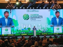 Hashim Ungkap Rencana RI Geber PLTS-Nuklir