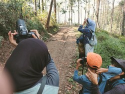 Wisata Mengamati Burung Liar Dikembangkan di Gunung Arjuno Malang