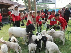 Riangnya Murid SD Edutrip ke Lapas Karawang: Lihat Ayam Bertelur-Beri Makan Domba