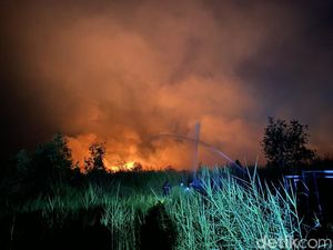 Karhutla di Barito Kuala, Api Kepung Kampus dan Bakar 2 Rumah Warga