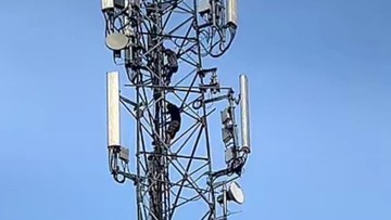 2 Maling Nekat Curi Kabel Tower di Bandung, Langsung Diciduk Polisi