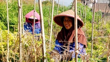 Stok Menipis, Harga Cabai Rawit di Kota Batu Rp 60 Ribu Kg