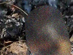 Misteri Wanita di Lombok Tewas Hangus Usai Pamit Bakar Sampah