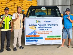 BULOG Percepat Penyaluran SPHP Jagung Pakan, Pastikan Stok Nasional Cukup