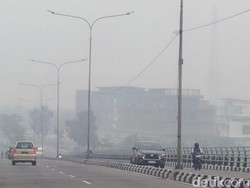 Sepanjang Karhutla di Riau, 28 Ribu Jiwa Terdampak ISPA