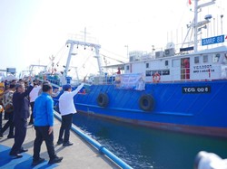 Menghidupkan Laut untuk Menguatkan Pesisir