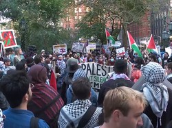Video: Pekikan Free Palestine Guncang Balai Kota New York!