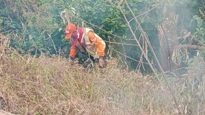 Hutan di Pandesari Pujon Malang Terbakar