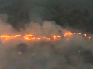 #PrayforKalimantan Menggema, Karhutla Makin Parah Ancam Permukiman Warga