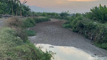 Jijik! Sungai Bango Pati Penuh Limbah Bikin Bau hingga Lalat Masuk Permukiman